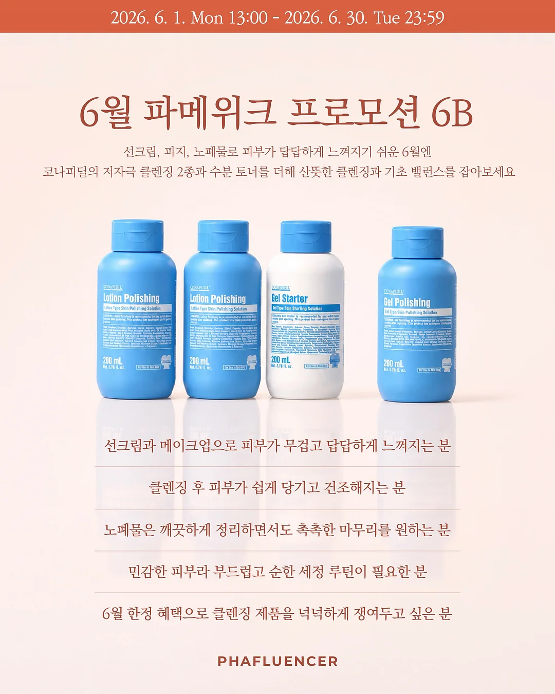 홀케익 6