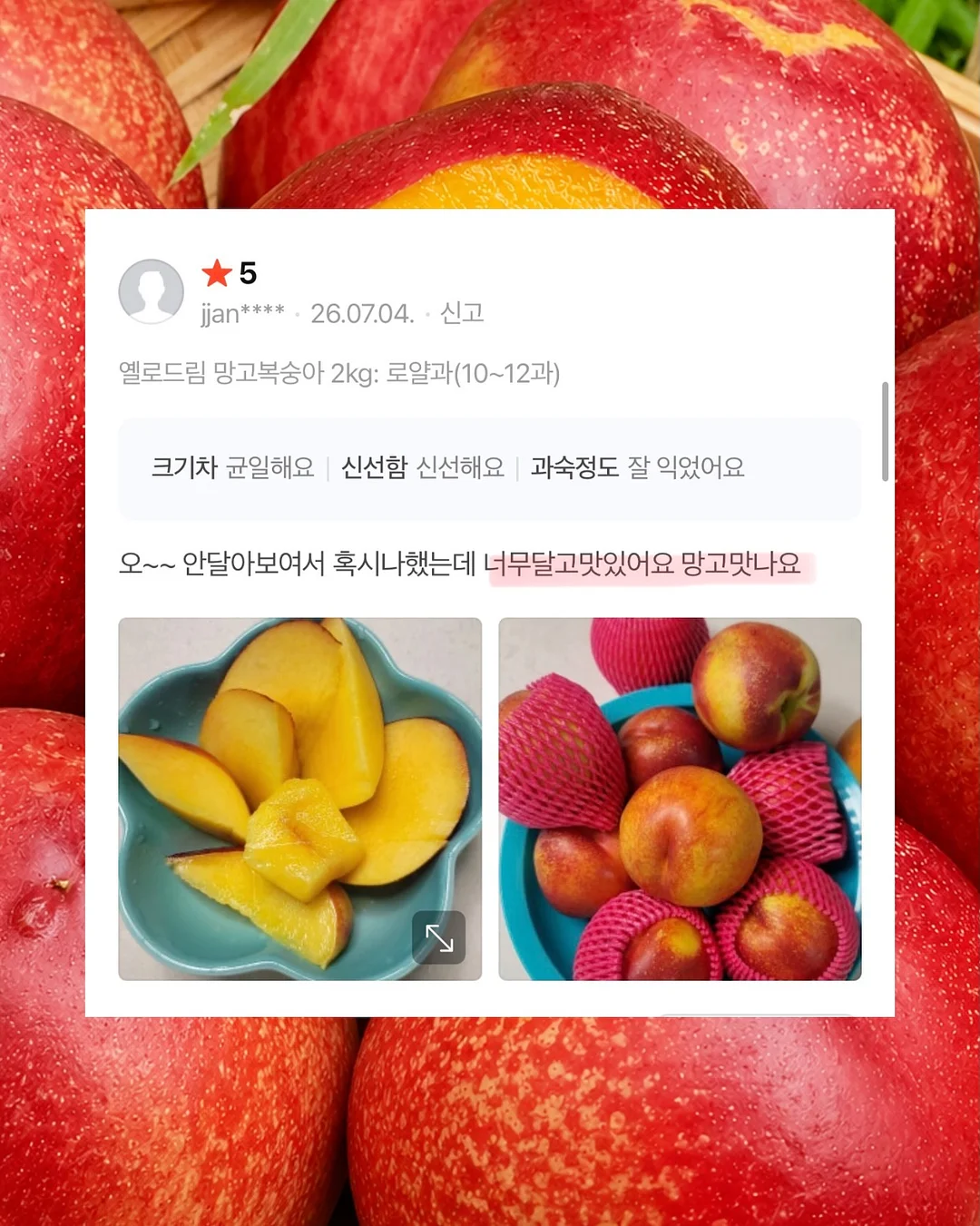 웨딩 촬영 시안 3