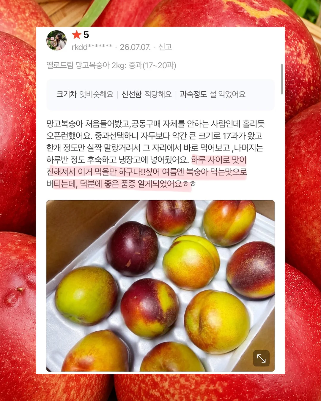웨딩 촬영 시안 4