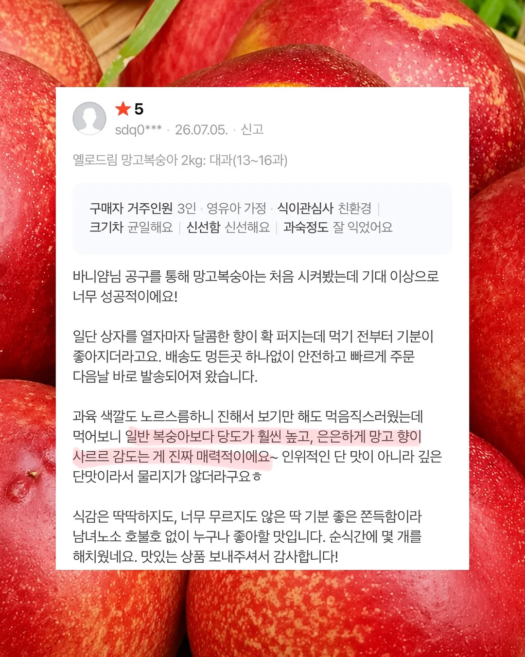 웨딩 촬영 시안 5