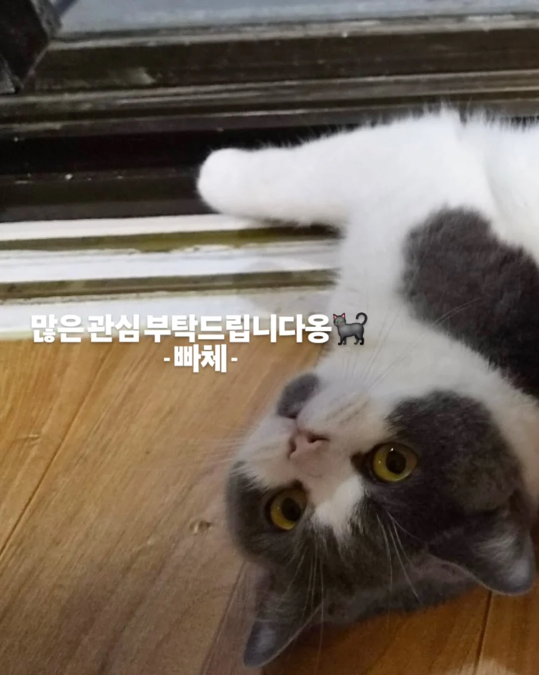 호이스트 리프트 사다리 3