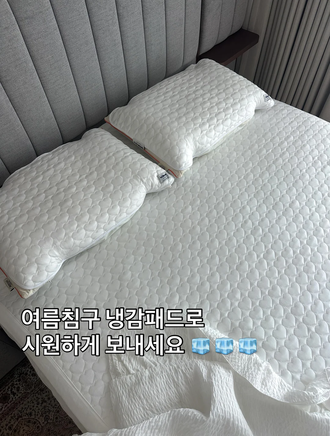 부클코트 1