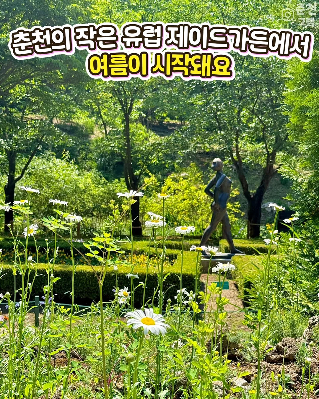 코체티 STEAM 교구 2