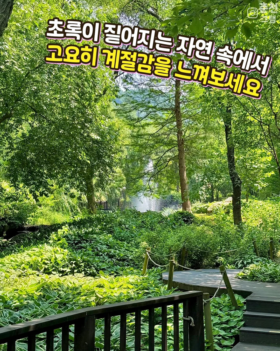 코체티 STEAM 교구 5