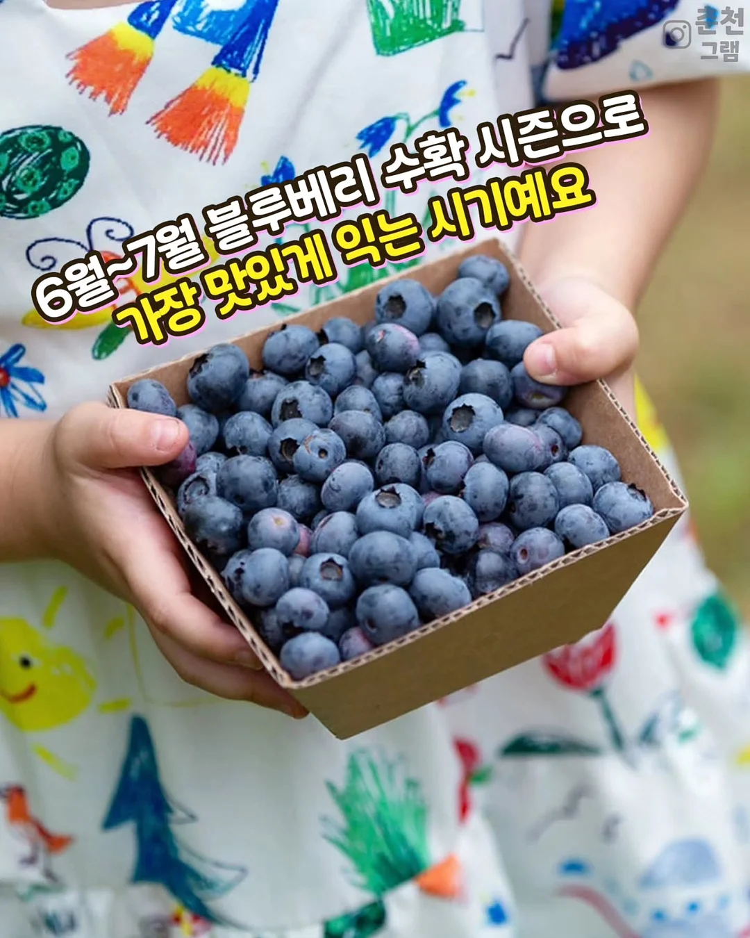 코체티 STEAM 교구 7