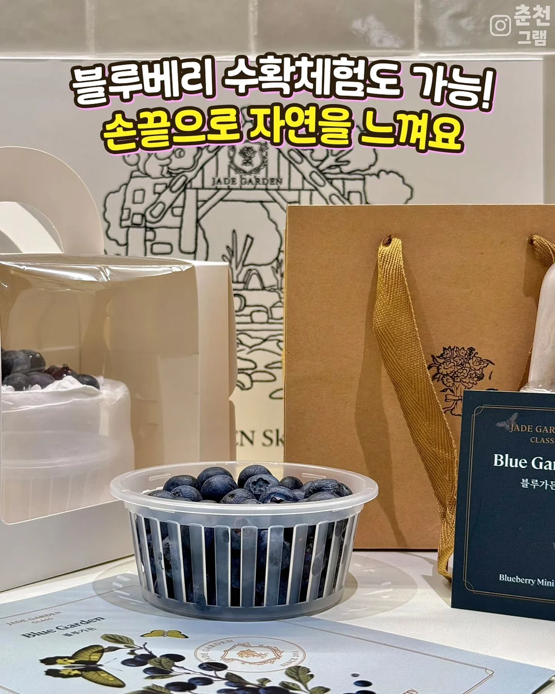 코체티 STEAM 교구 8
