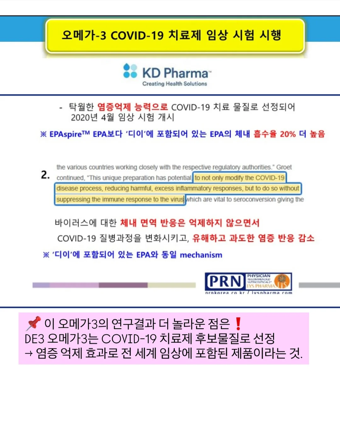 레이어드 포인트 5