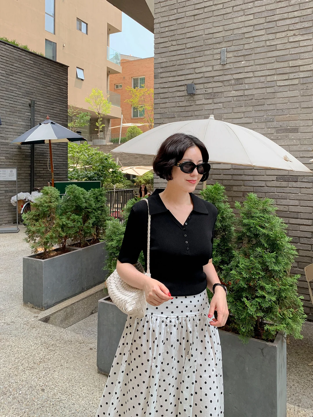앰모비움 드라이플라워 6