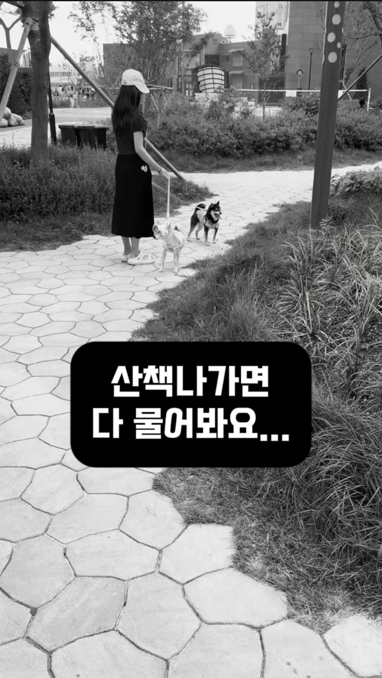 새 모양 오브제 병따개