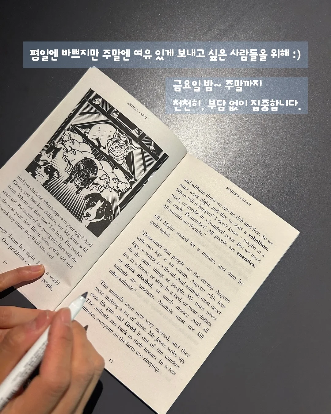 리프칩 4