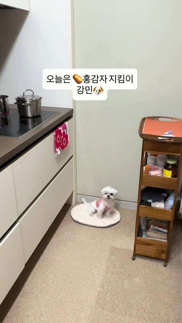 스카이 눈썹 & 뷰러펌 set