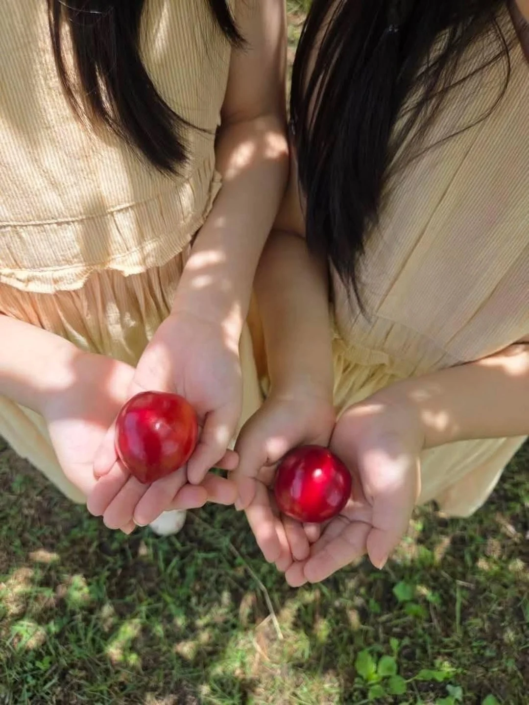 베니티백 2
