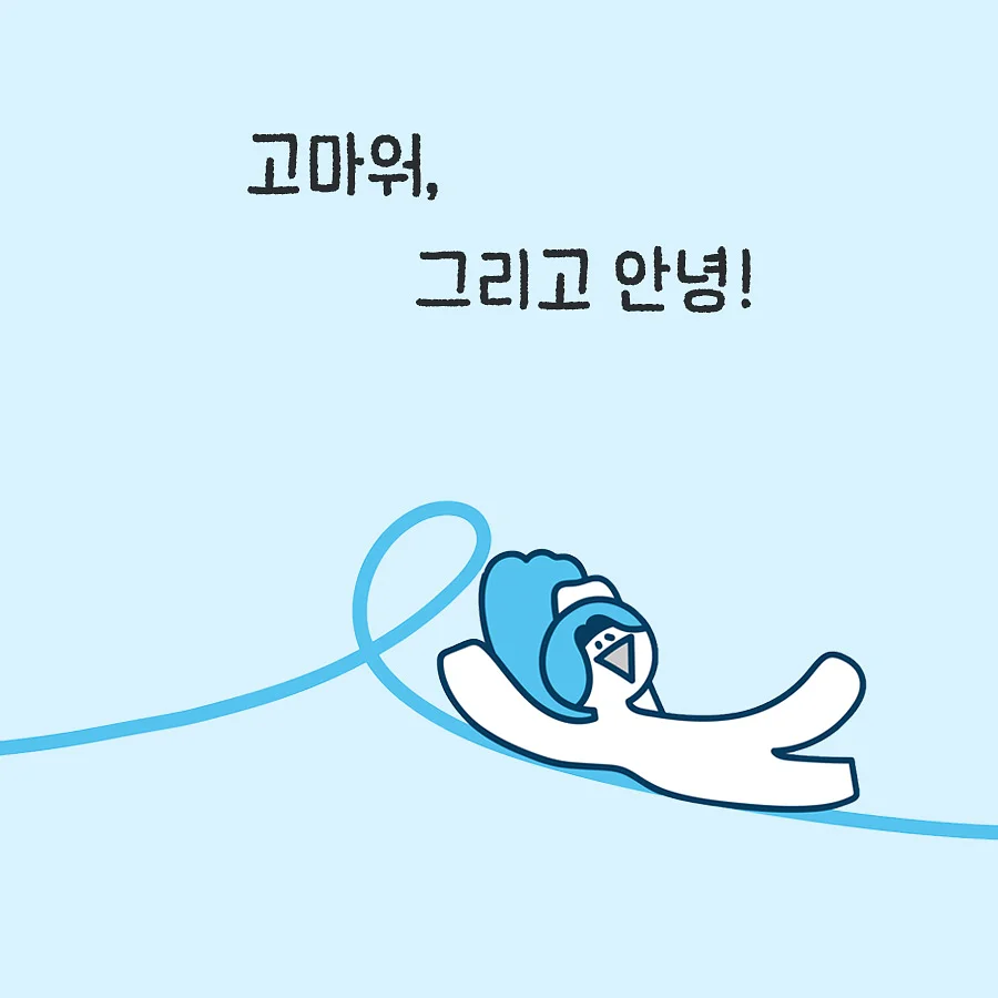 LB PIcks 브라 6