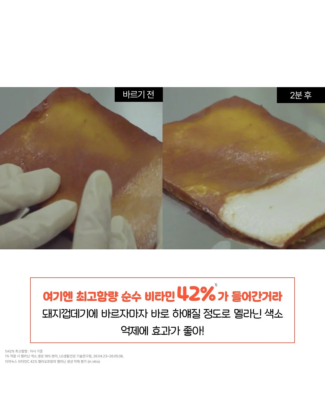온라인 펫페어 3