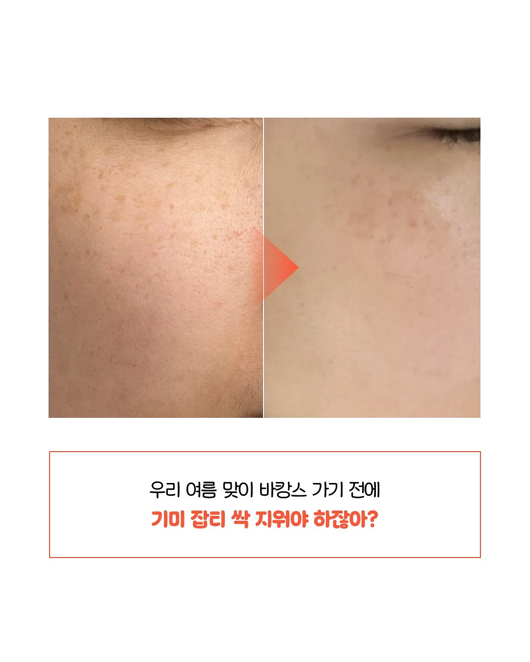 온라인 펫페어 8