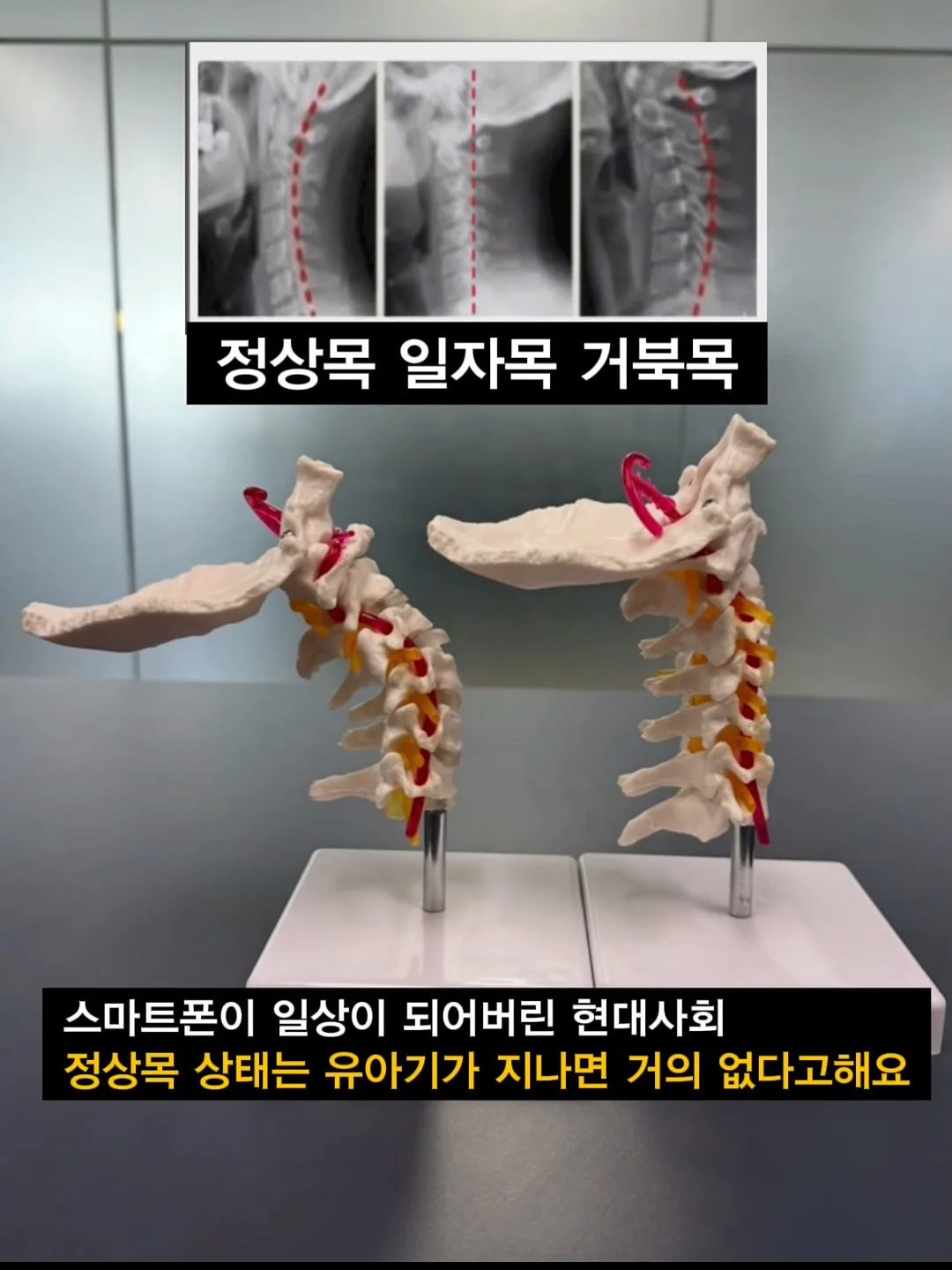 롤키친 슬라이딩 지퍼백 2