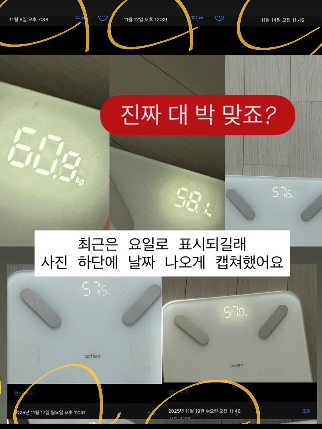 별그린농원 산딸기 19