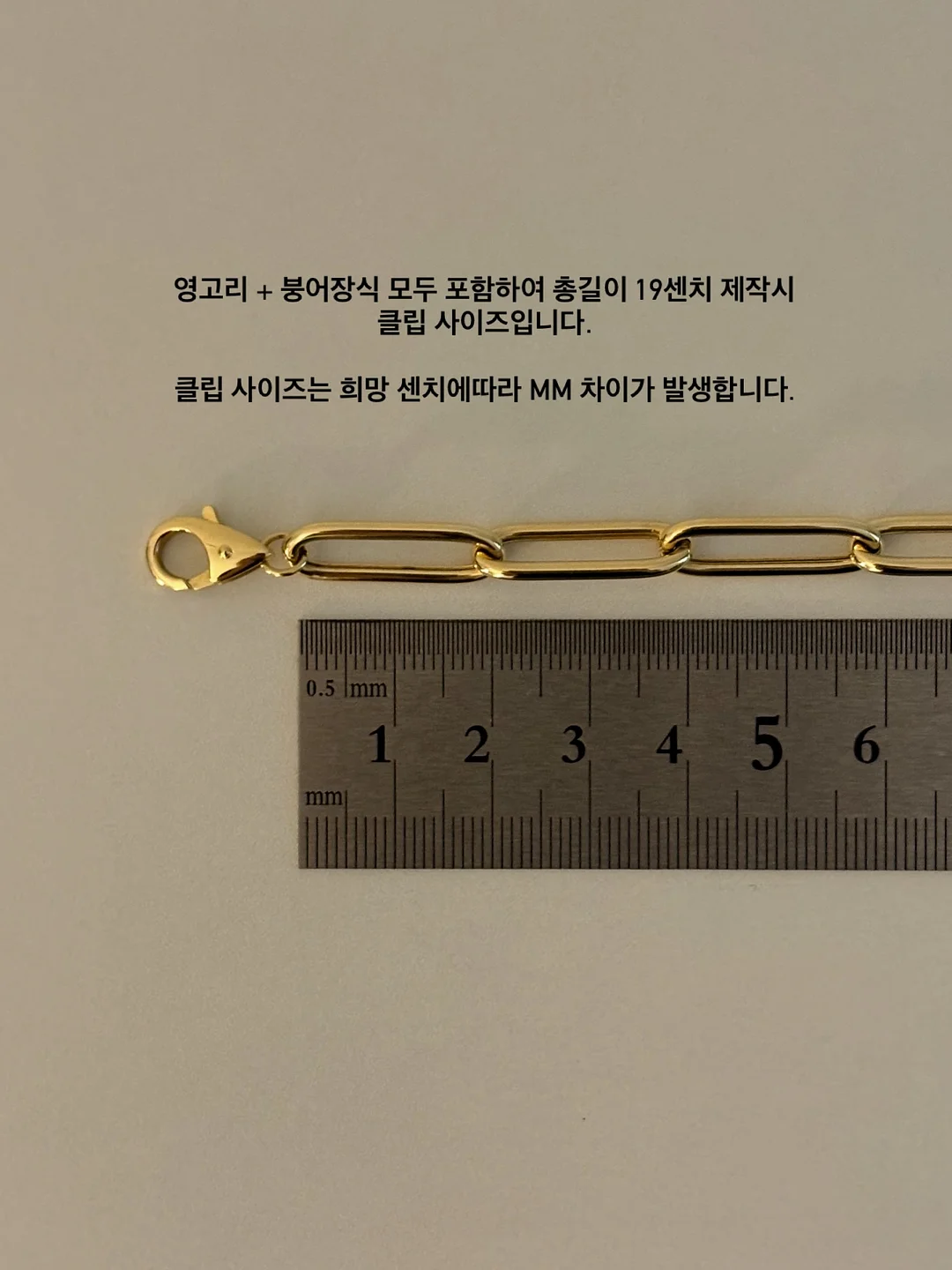 산딸기망고 롤케이크 16