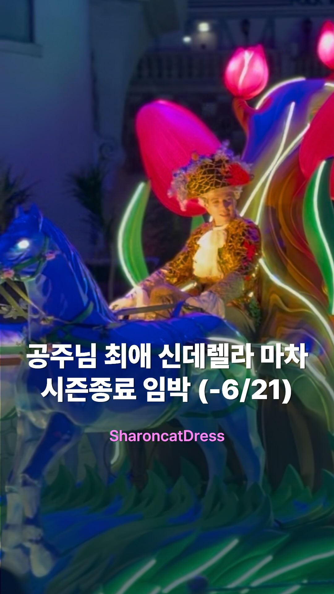 문제행동 지도 강의