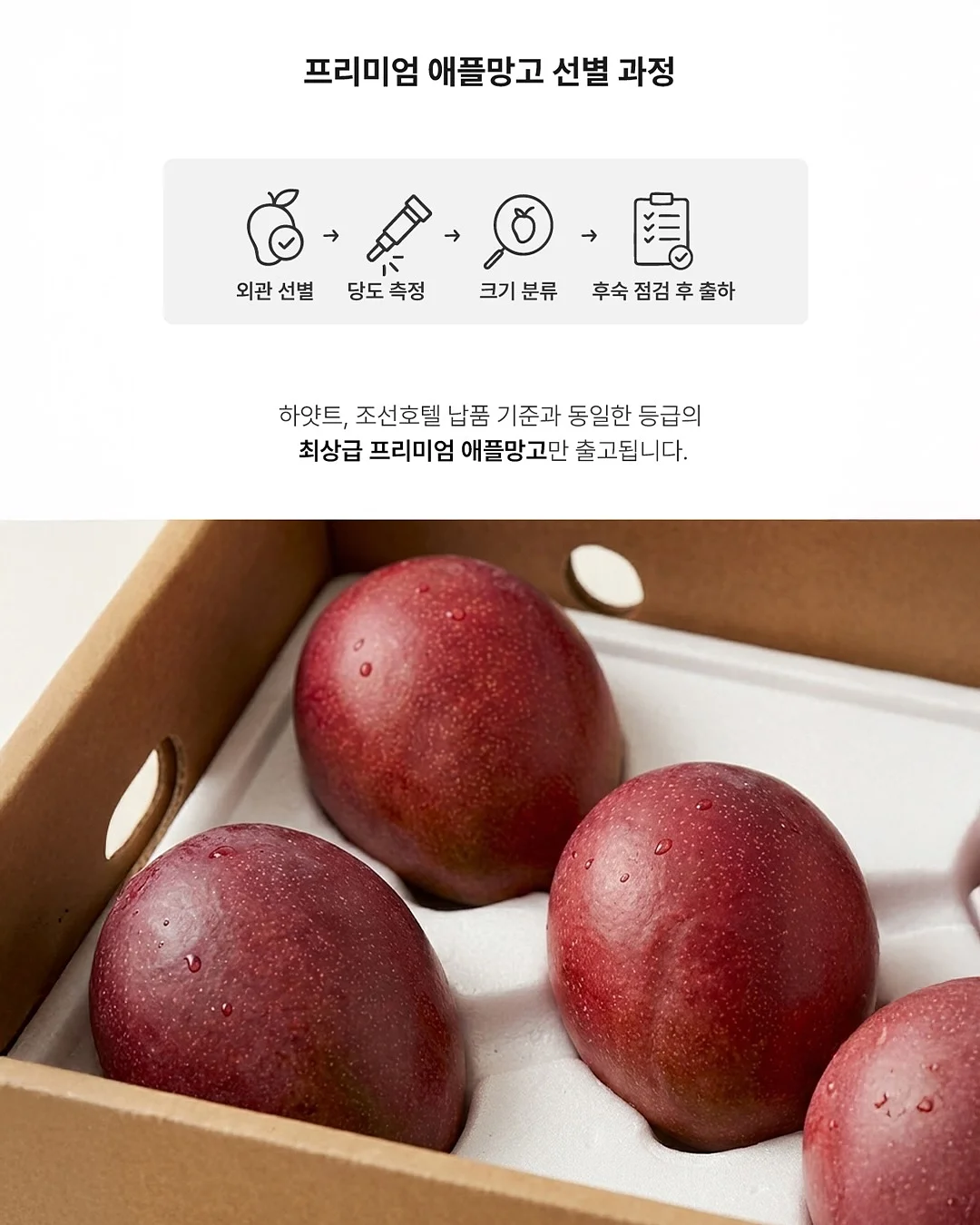 감성 유리 보관 용기 12