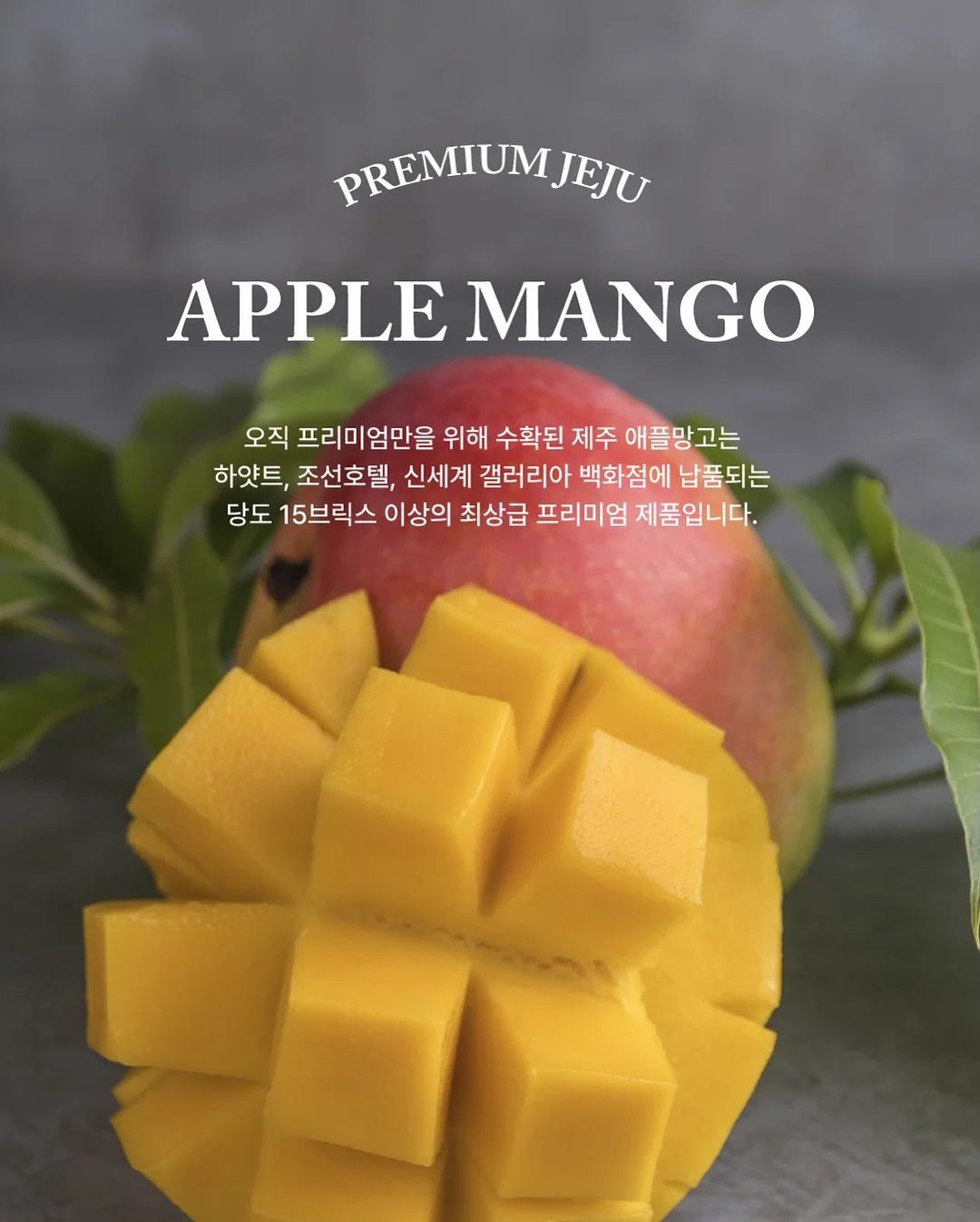 감성 유리 보관 용기 3