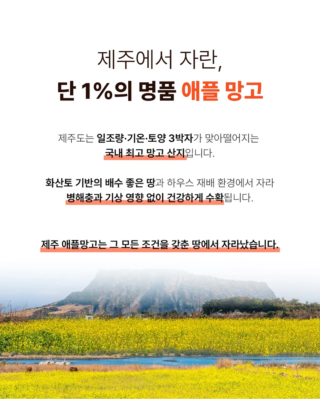 감성 유리 보관 용기 5