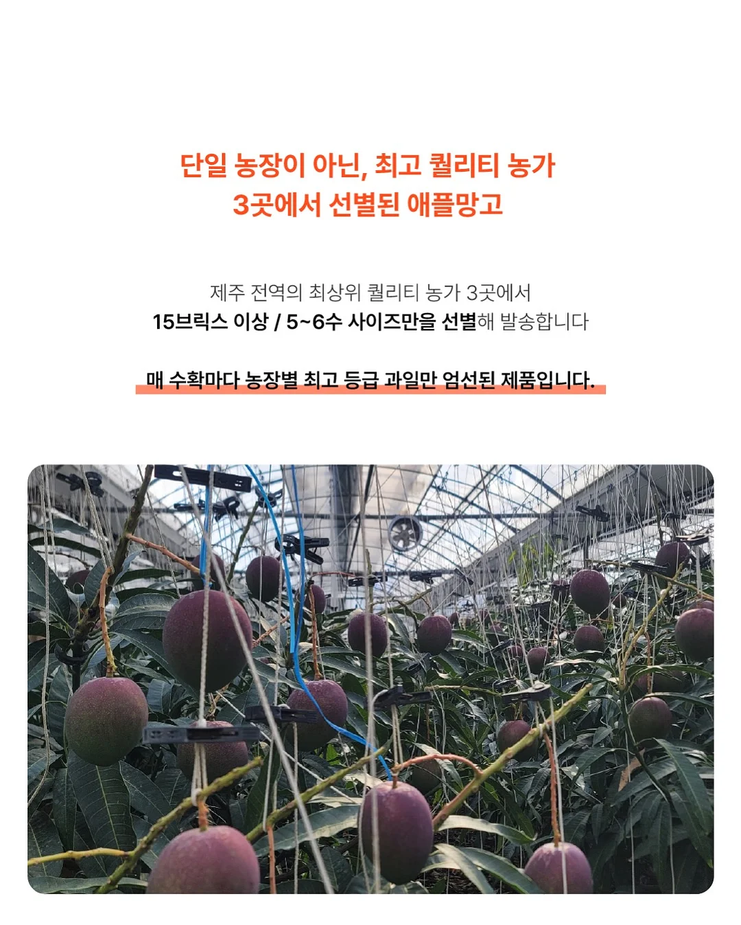 감성 유리 보관 용기 6