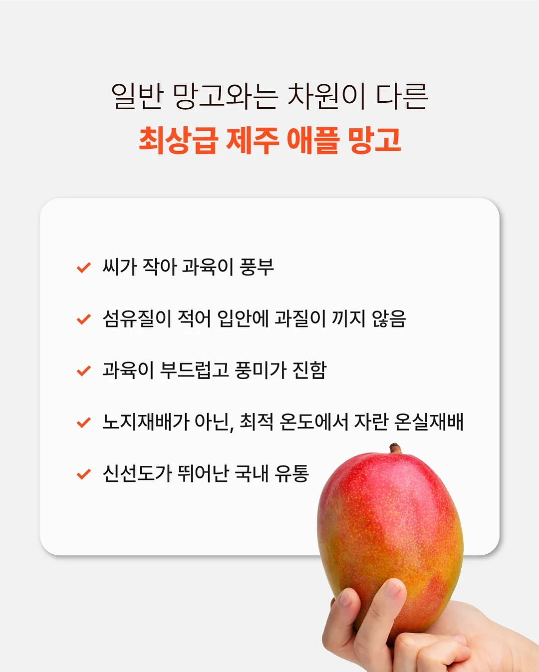 감성 유리 보관 용기 8