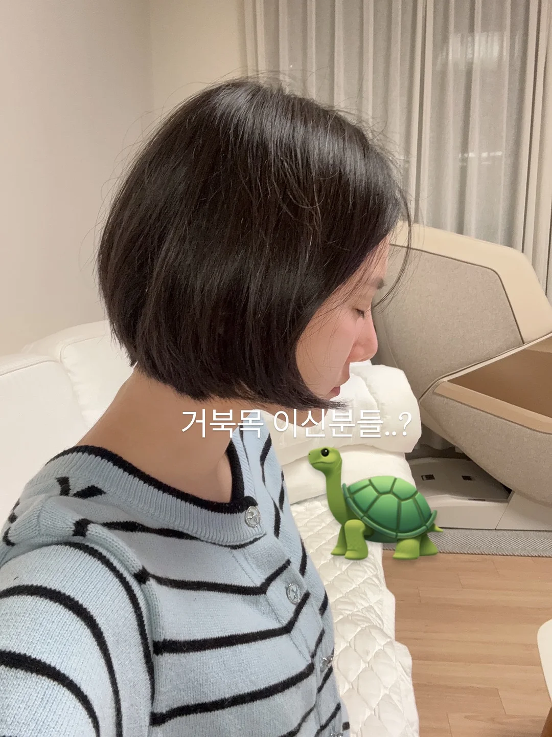 newB 새로운 라인 가방 3