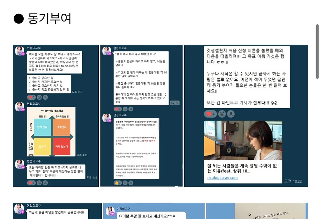소휘 스테디부스터 구미 2종 4