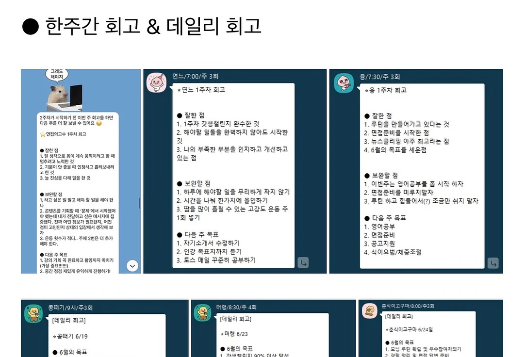 소휘 스테디부스터 구미 2종 5