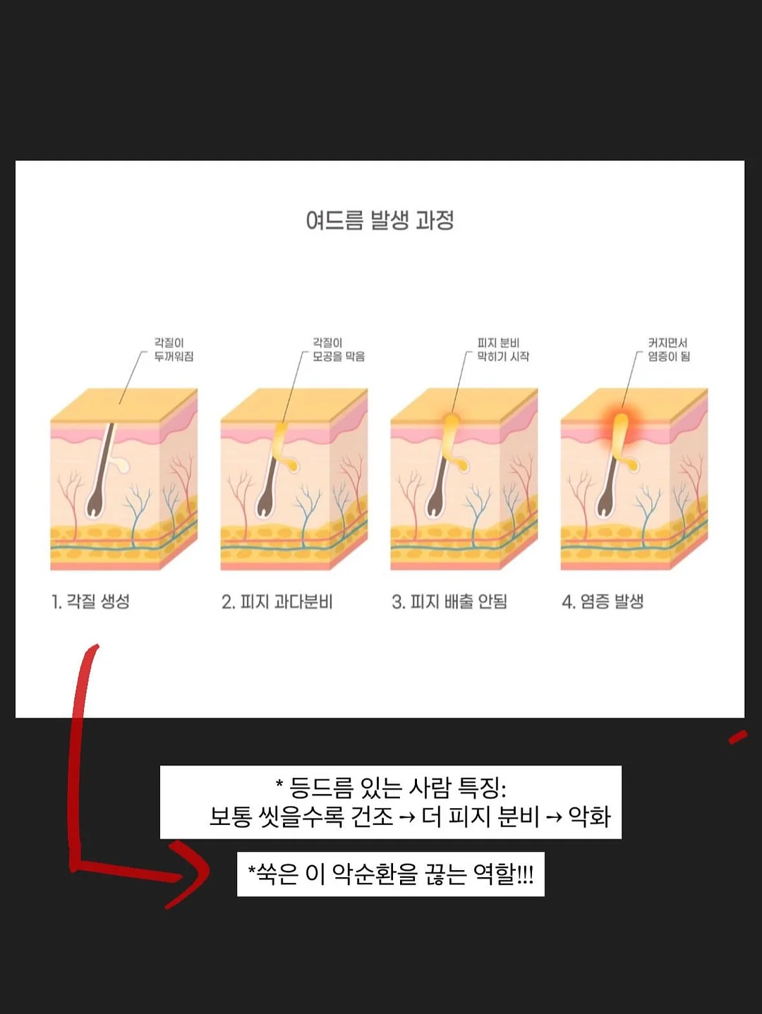 비알 워터풀 쿠션&비비 7