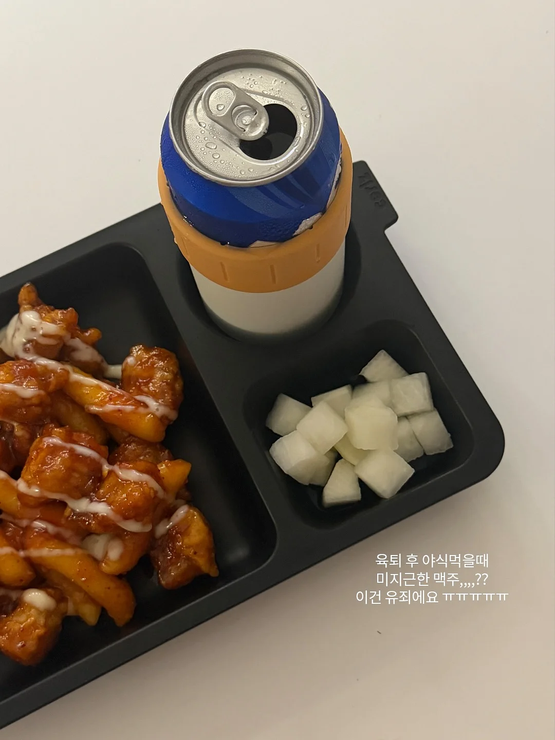 고양이로 나를 그리다 프로그램 9