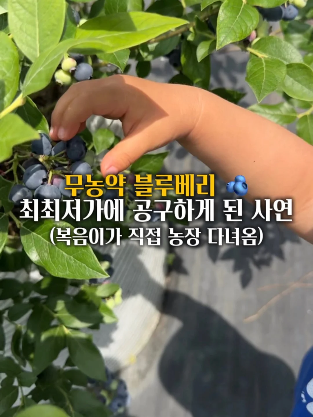 니트 가디건 1