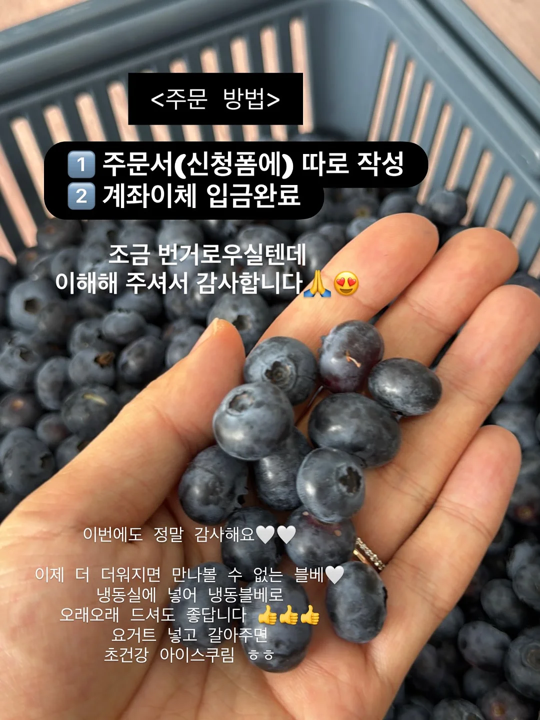 니트 가디건 11