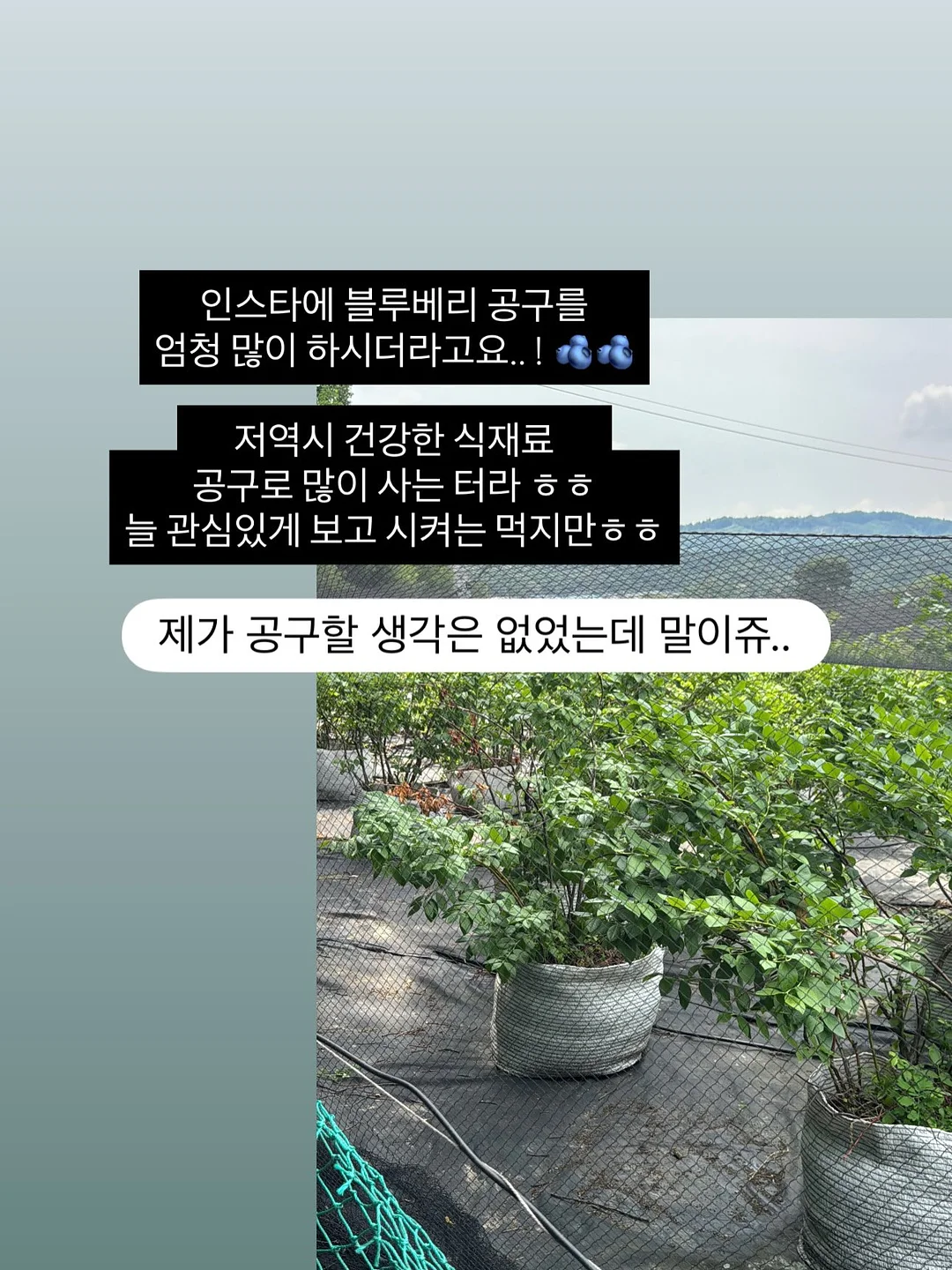 니트 가디건 2