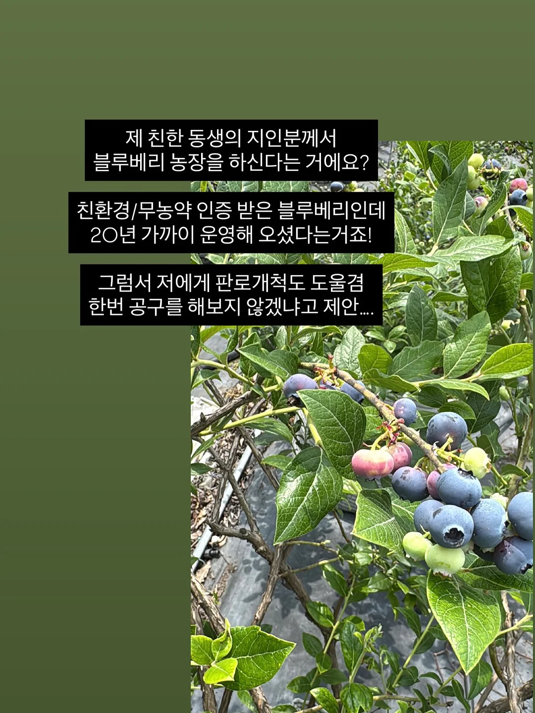 니트 가디건 3