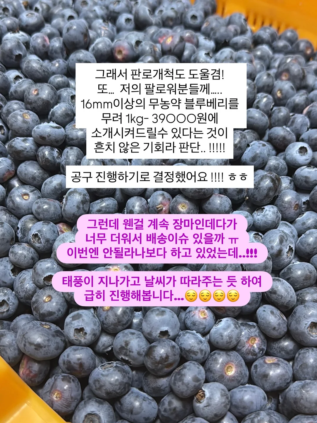 니트 가디건 6