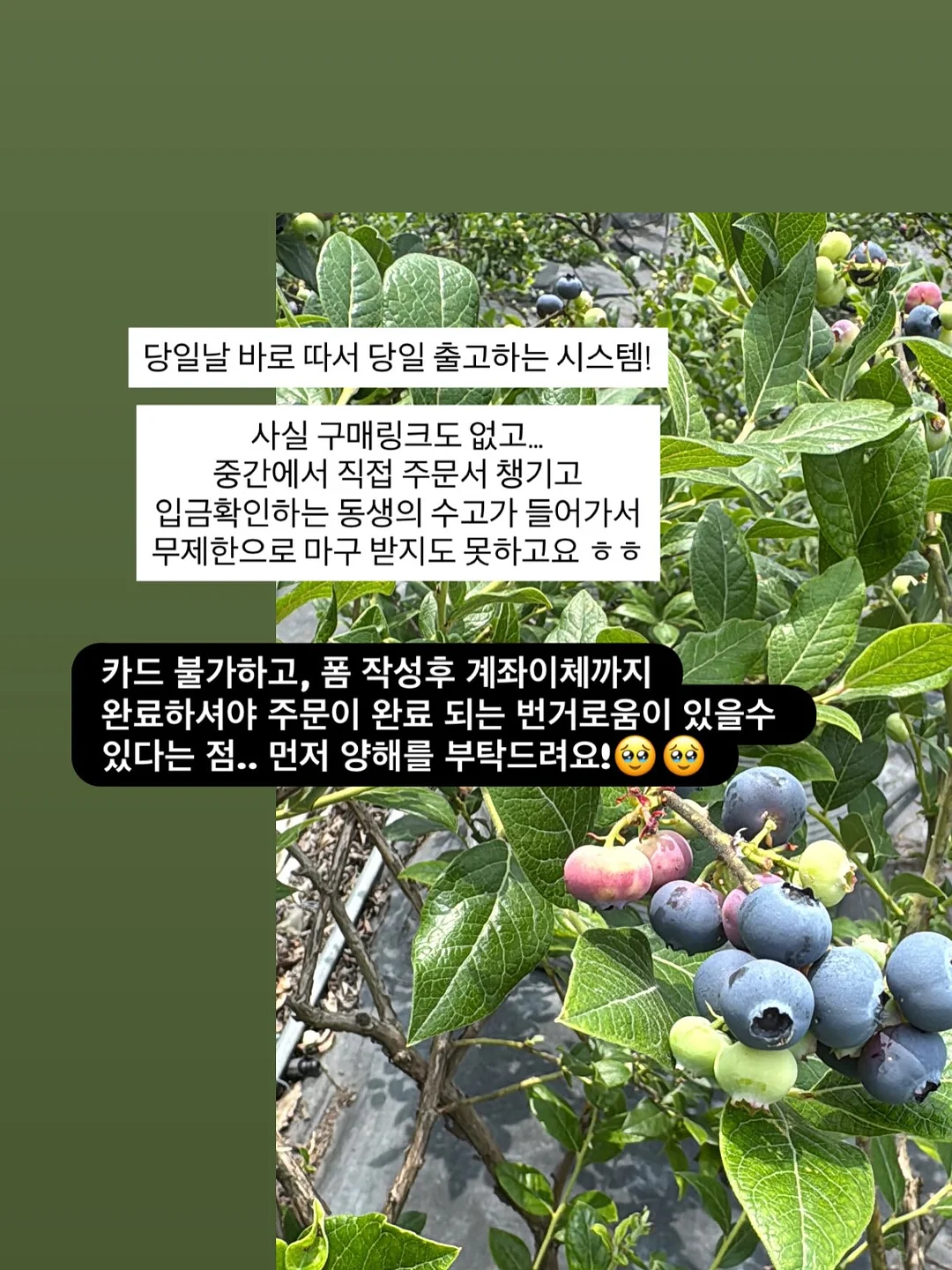 니트 가디건 7