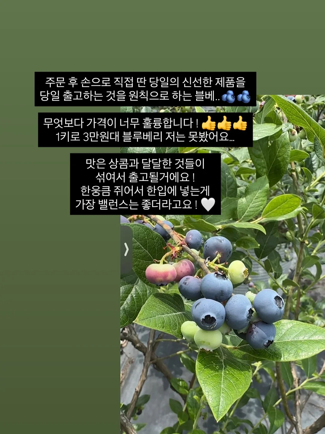 니트 가디건 9