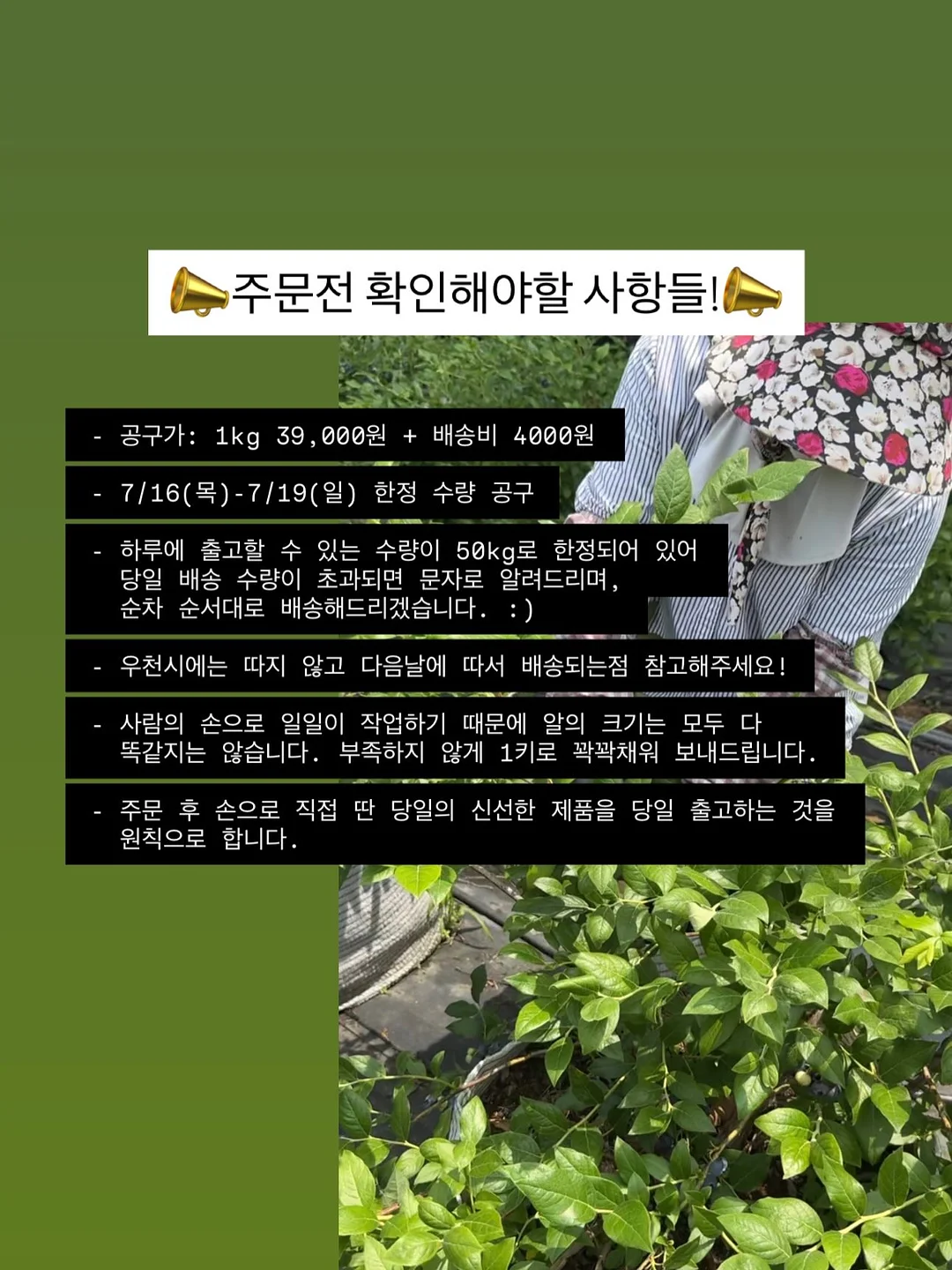 니트 가디건 10