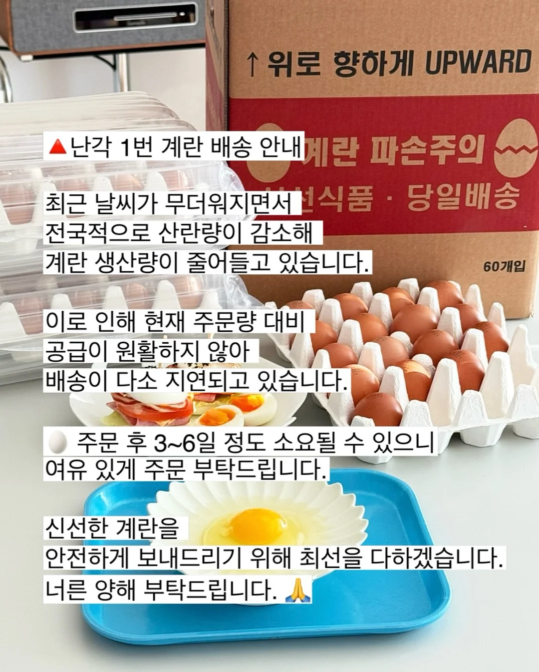 우리는 왜 가짜 정의에 열광하는가 1