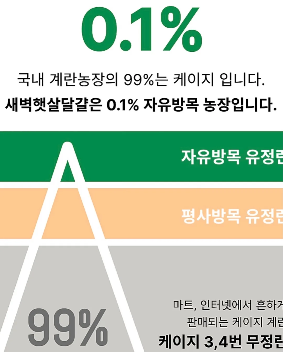 우리는 왜 가짜 정의에 열광하는가 12