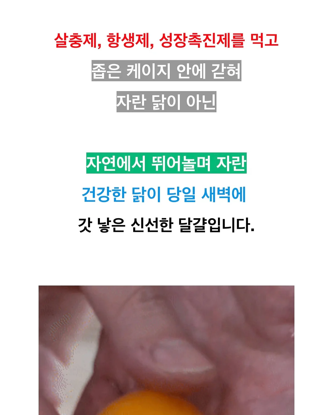우리는 왜 가짜 정의에 열광하는가 15