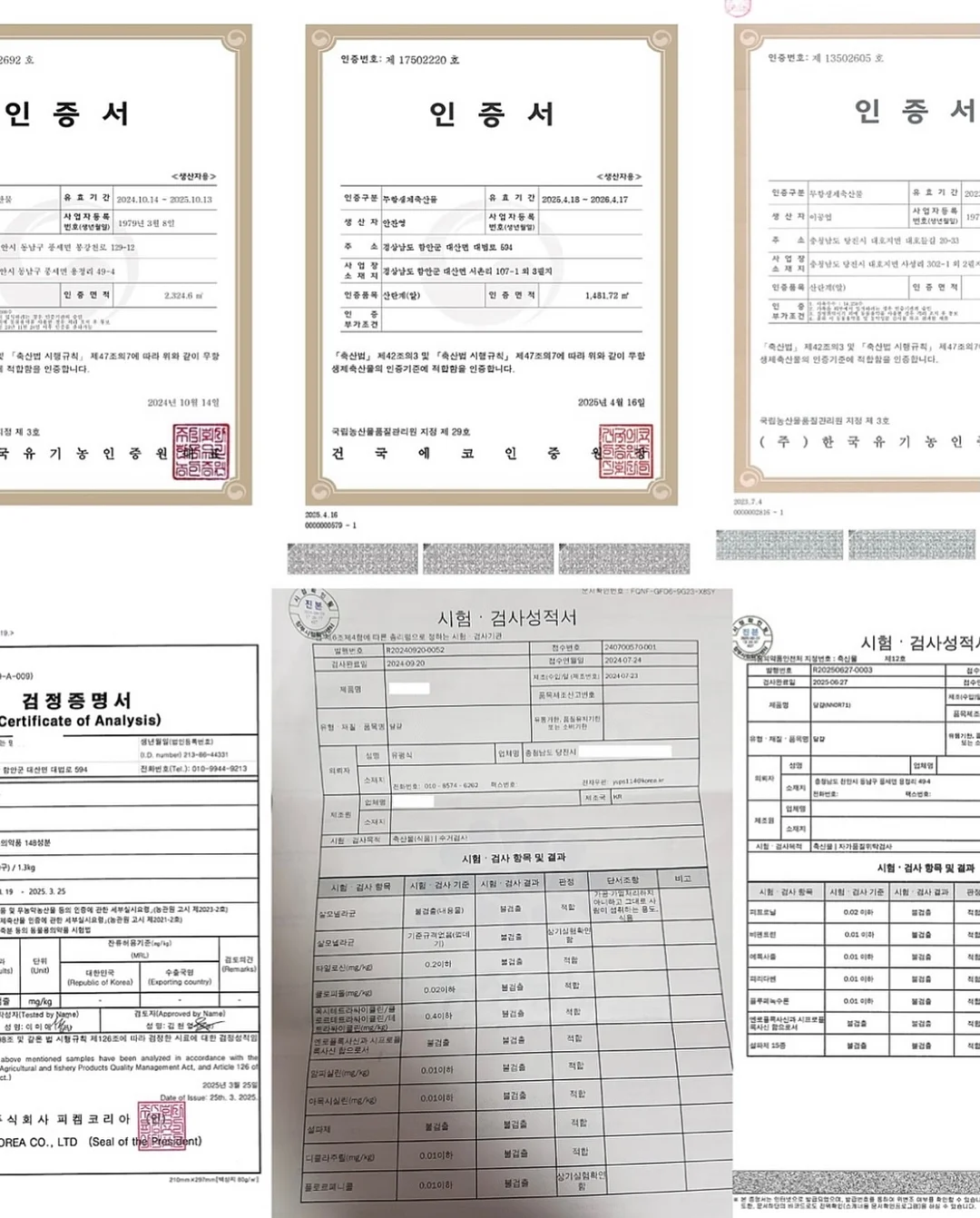우리는 왜 가짜 정의에 열광하는가 16