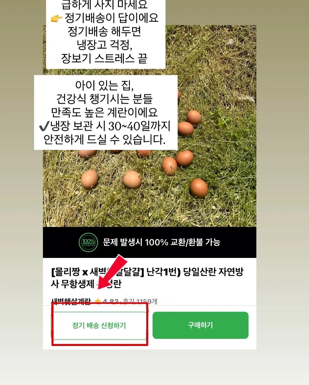 우리는 왜 가짜 정의에 열광하는가 5