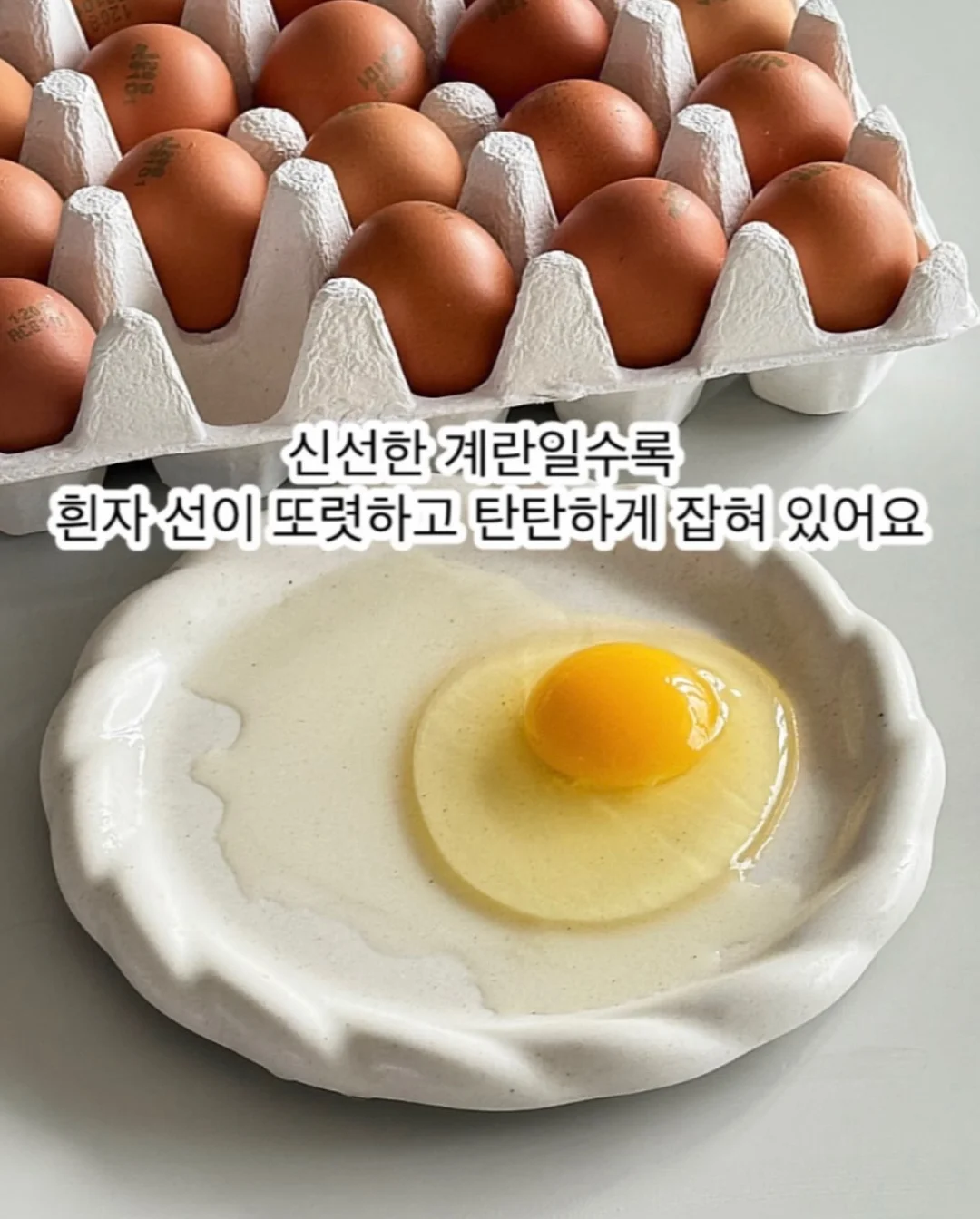 우리는 왜 가짜 정의에 열광하는가 6