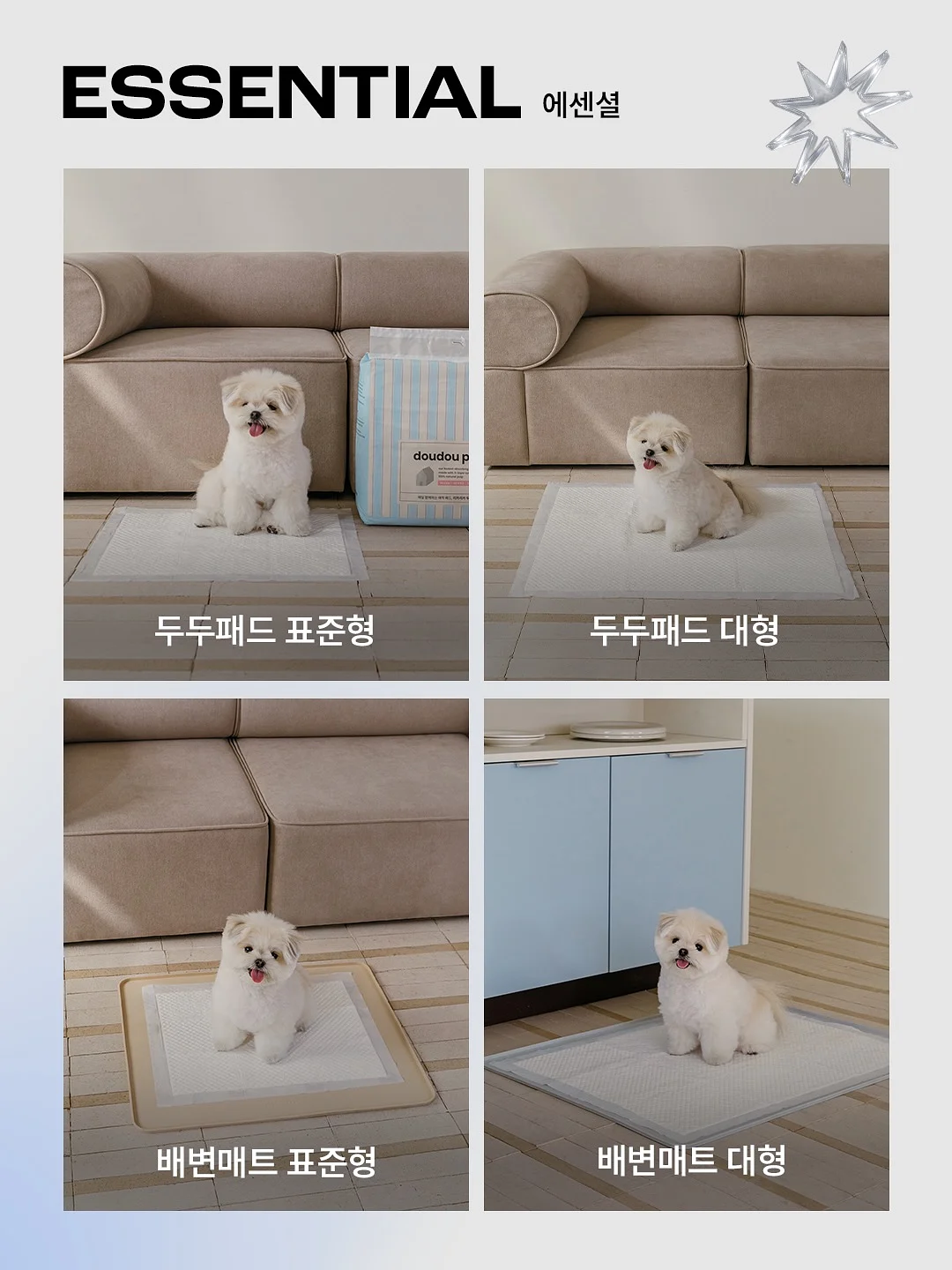 정찰제 드레스샵 리스트 5