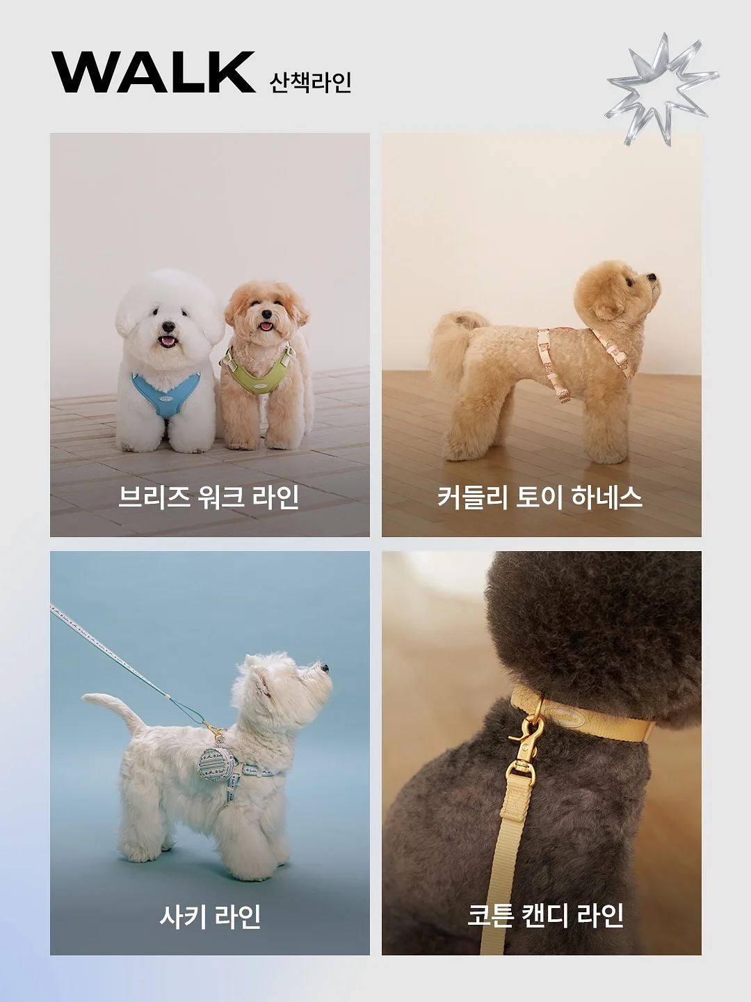 정찰제 드레스샵 리스트 6