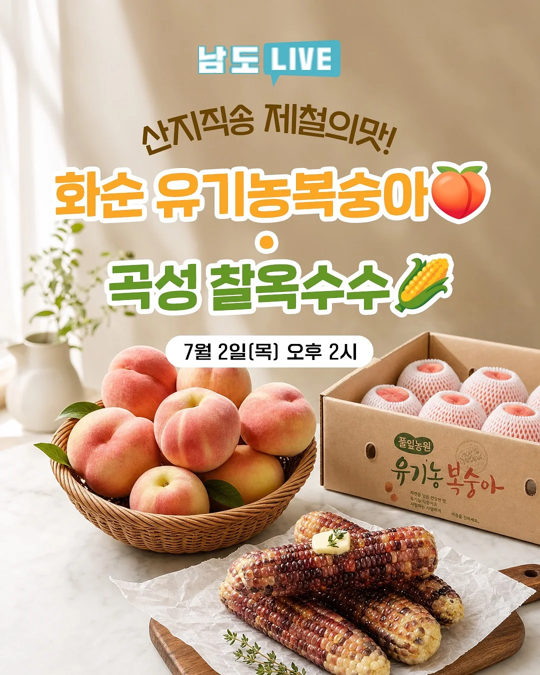 자석젤 1